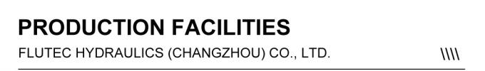 탄소 강철 중량 수압 실린더 피스톤 타입 사용자 정의 2